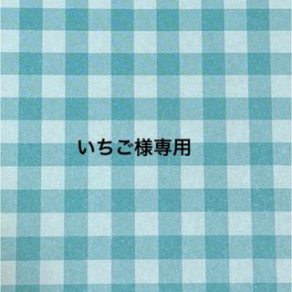 いちご様専用(チャーム)