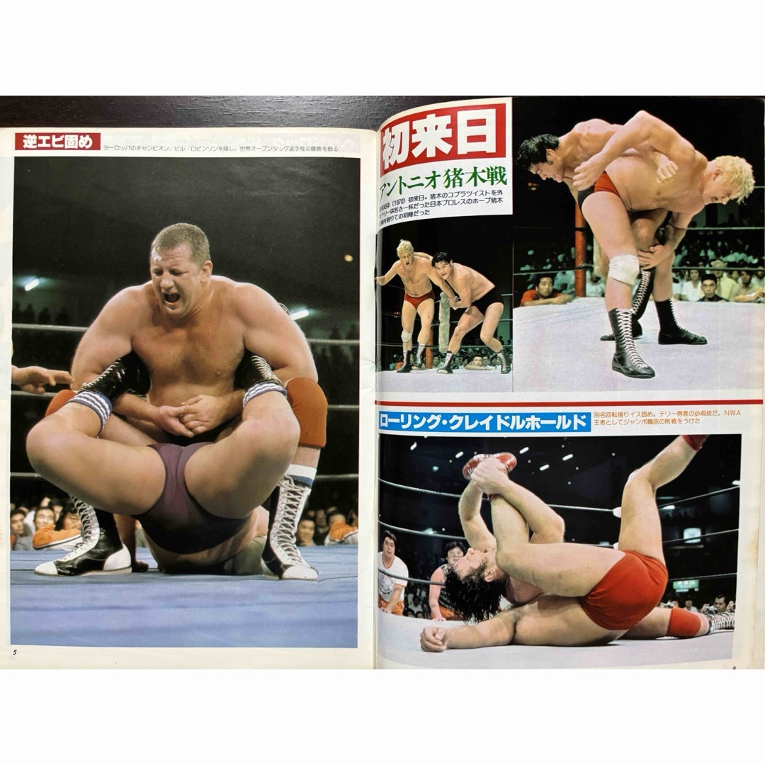 ジャンボポスター付き テリー・ファンク プロレスアルバム No.3 エンタメ/ホビーの雑誌(趣味/スポーツ)の商品写真