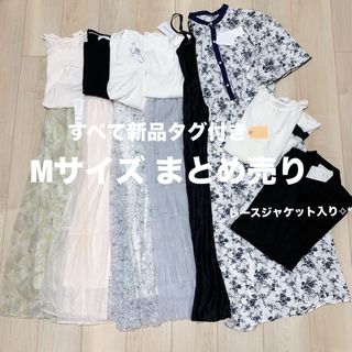 レディース 服 まとめ売り コーデ売り Mサイズ snidel 系(セット/コーデ)