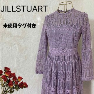 ジルスチュアート(JILLSTUART)の【未使用タグ付き】JILLSTUART  ドンナエンブロイダリーワンピース　 (ロングワンピース/マキシワンピース)