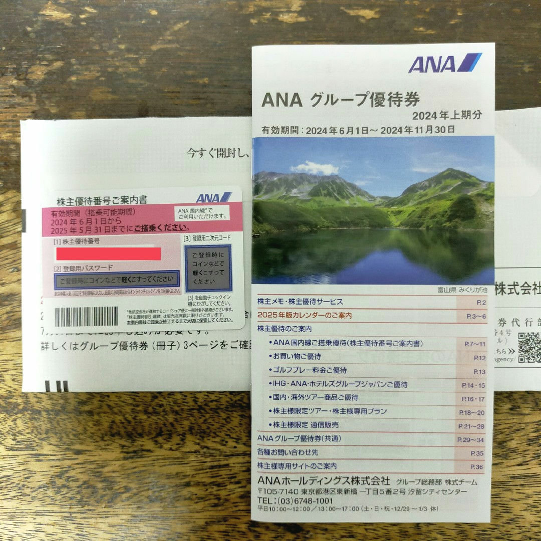 ANA(全日本空輸)(エーエヌエー(ゼンニッポンクウユ))のANA株主優待券1枚（2024/6/1～）冊子付き チケットの乗車券/交通券(航空券)の商品写真