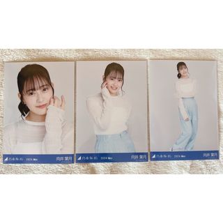 ノギザカフォーティーシックス(乃木坂46)の乃木坂46 向井葉月 生写真 カーゴパンツ 3種コンプ(アイドルグッズ)