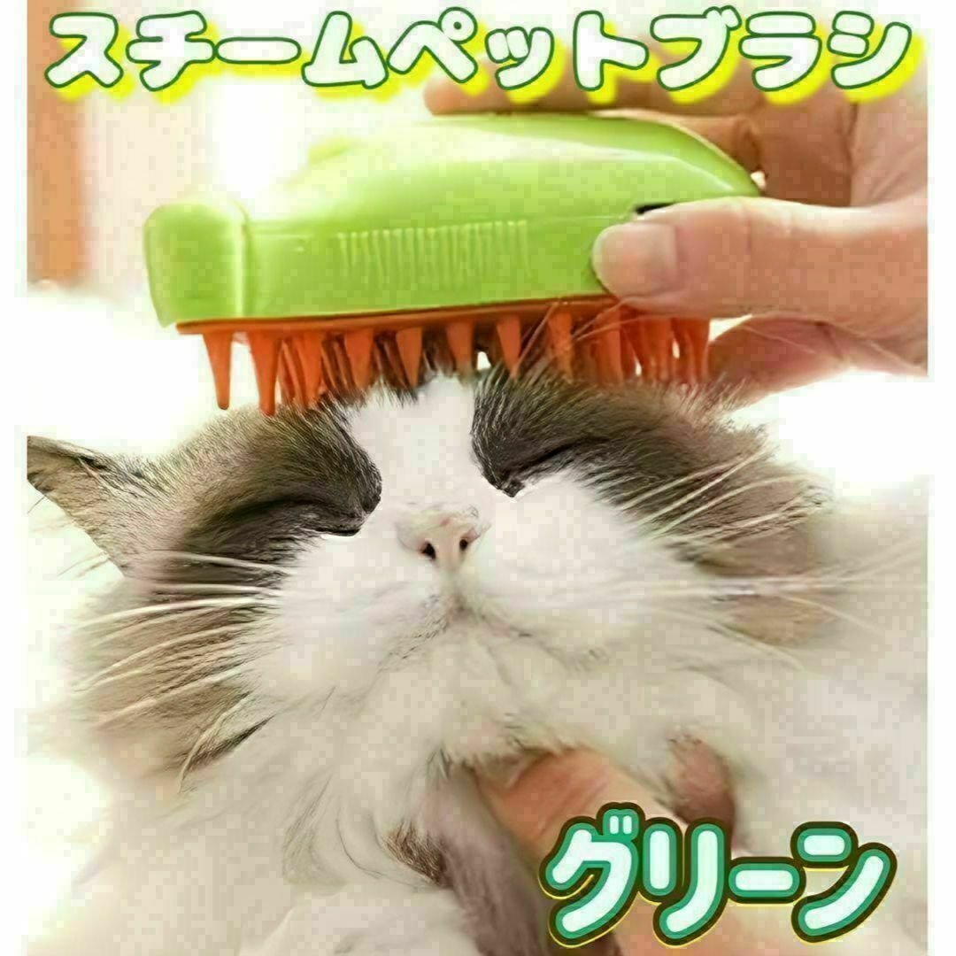 キャット スチームブラシ　グリーン USB充電 マッサージ 犬　猫　用 その他のペット用品(猫)の商品写真