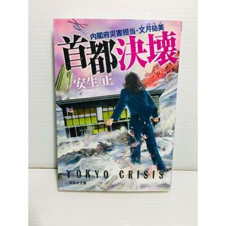 P0325-095　首都決壊 内閣府災害担当・文月祐美(文学/小説)