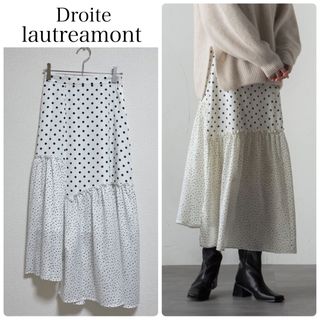 ドロワットロートレアモン(Droite lautreamont)の【中古美品】【洗える】Droite lautreamontティアードスカート(ロングスカート)