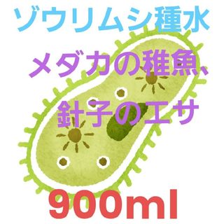 ゾウリムシ種水 メダカ.稚魚.針子の餌 900㎖♥取説書と♡培養酵母10錠付き♡