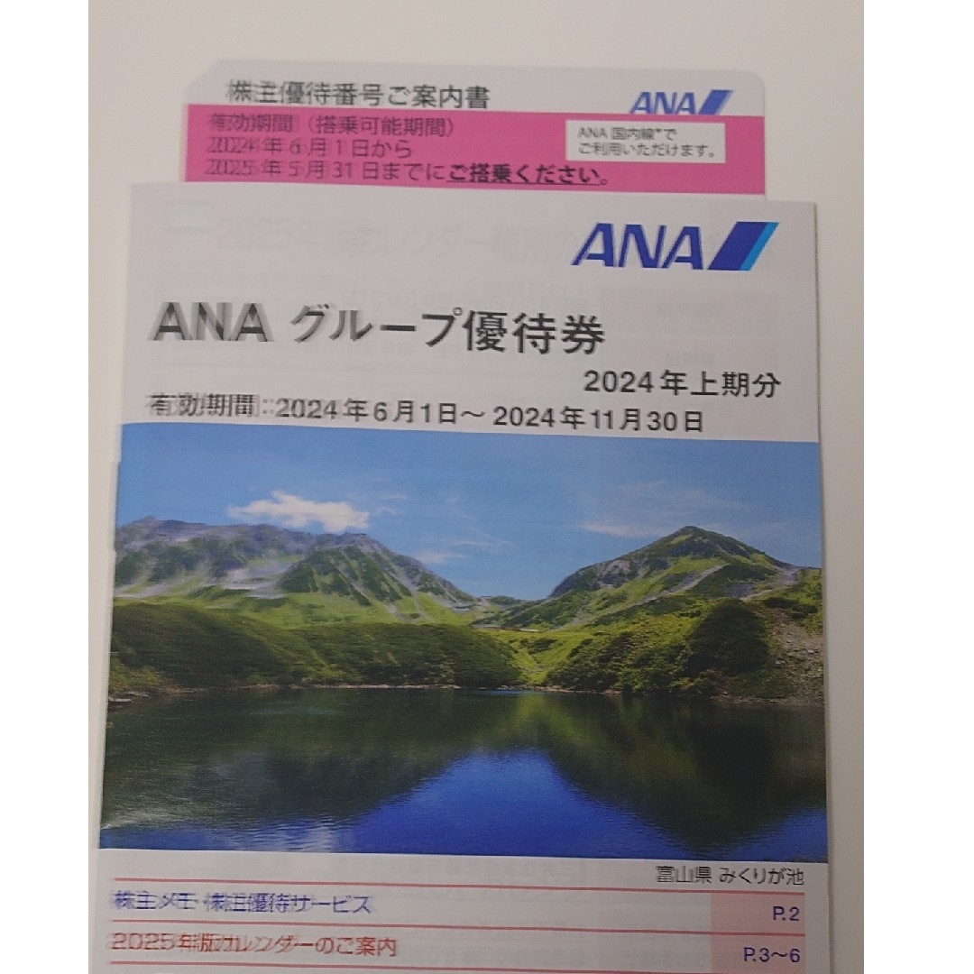 【匿名配送】ANA株式優待　1枚 チケットの乗車券/交通券(航空券)の商品写真