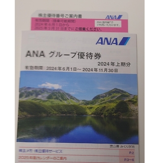 【匿名配送】ANA株式優待　1枚