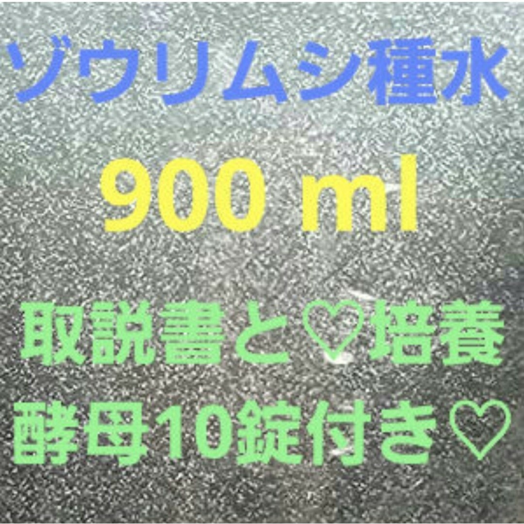 ゾウリムシ種水 メダカ.稚魚.針子の餌 900㎖♥取説書と♡培養酵母10錠付き♡ その他のペット用品(アクアリウム)の商品写真