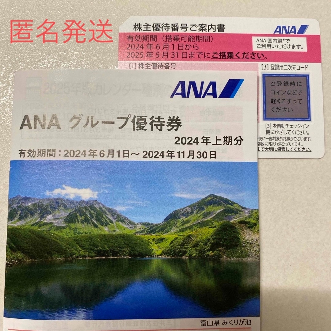 ANA(全日本空輸)(エーエヌエー(ゼンニッポンクウユ))のANA優待券1枚　ANAグループ優待券冊子1冊 チケットの優待券/割引券(その他)の商品写真