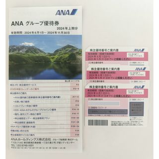 エーエヌエー(ゼンニッポンクウユ)(ANA(全日本空輸))のANA株主優待券3枚 グループ優待券冊子(その他)