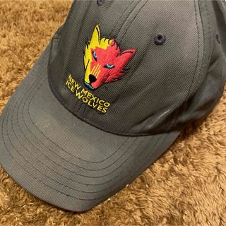 エーティーアールスポーツ(ATRスポーツ)の『US古着』NMIW Gray Trucker   ブラックキャップ　アメリカン(キャップ)