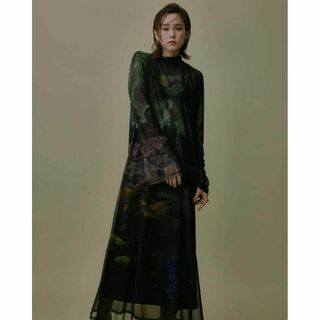 アメリヴィンテージ(Ameri VINTAGE)のAMERI NUANCE ART LAYERED SHEER DRESS(ロングワンピース/マキシワンピース)