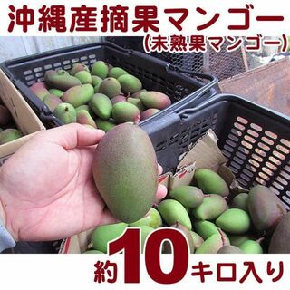 【送料込】沖縄産摘果マンゴー約１０キロ┃未熟果マンゴー┃グリーンマンゴー(フルーツ)