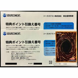 ソースネクスト 株主優待 3000ポイント+遊戯王1枚