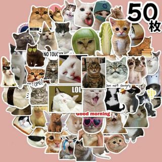 猫ミーム ステッカー 50枚セット TikTok 猫 おもしろ 防水 シール(その他)