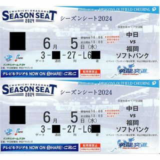 チュウニチドラゴンズ(中日ドラゴンズ)の【通路側】6月5日　中日×ソフトバンク　ドラゴンズ外野応援席　バンテリンドーム(野球)