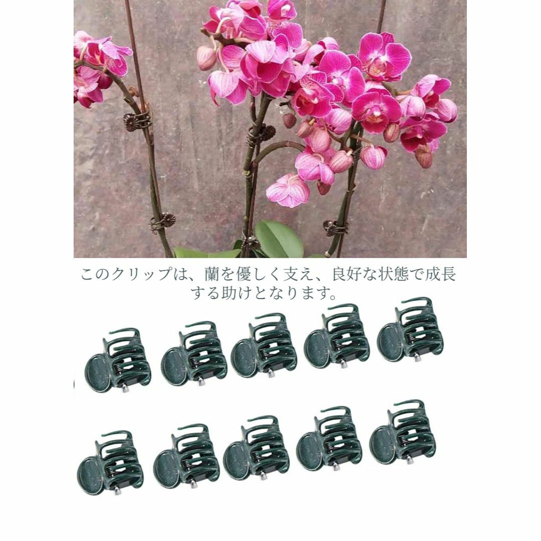 【在庫処分】xuuyuu 園芸クリップ 洋蘭 つる 植物用クリップ 100個セッ その他のその他(その他)の商品写真