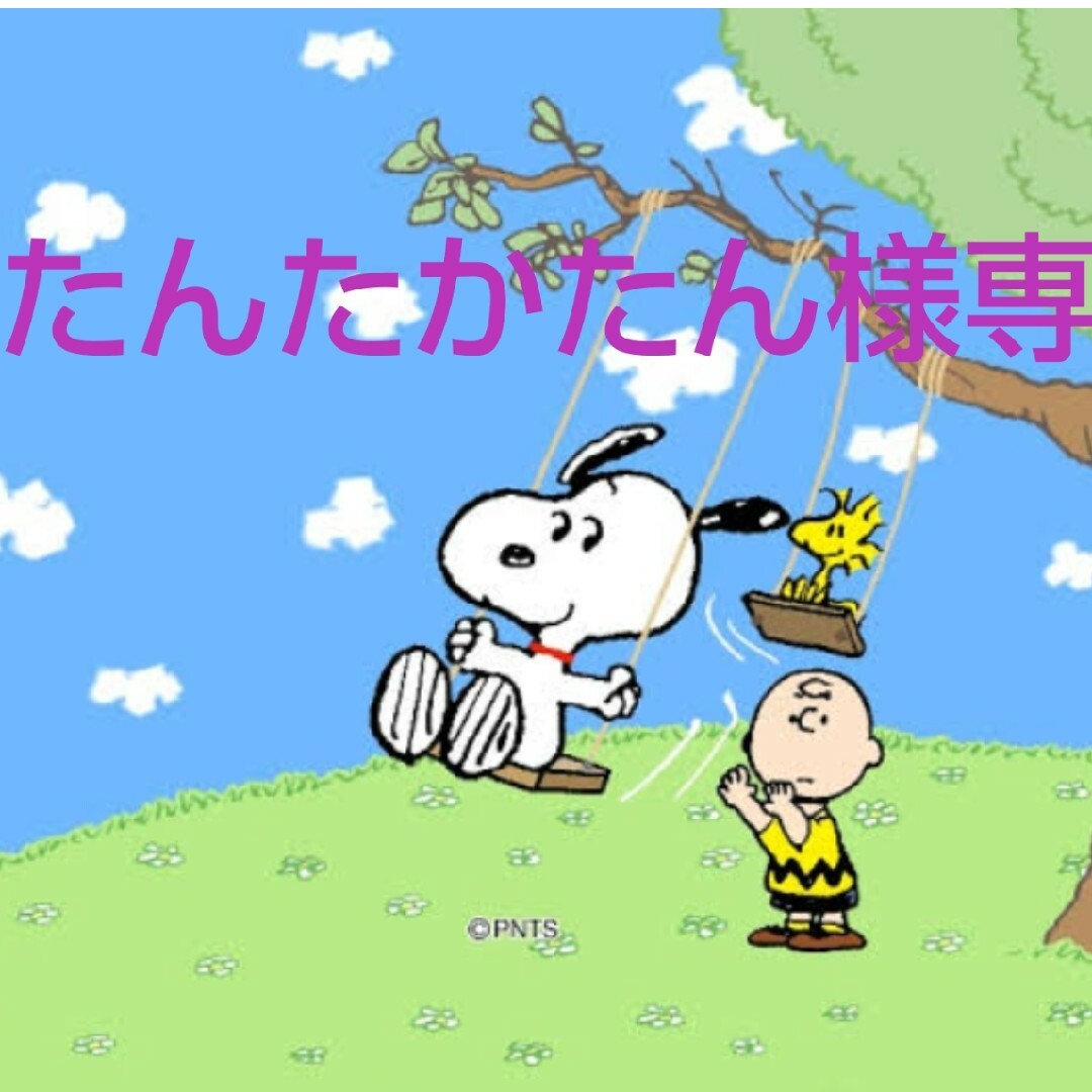 SNOOPY(スヌーピー)のたんたかたん様専用 エンタメ/ホビーのおもちゃ/ぬいぐるみ(キャラクターグッズ)の商品写真