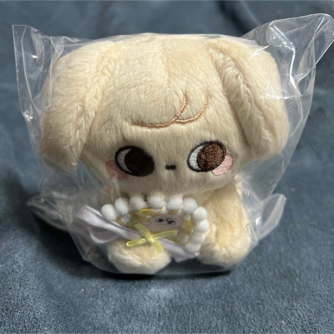 stray kids スンミン ぬいぐるみ 10cm 新品 マスター stray kids スンミン ぬいぐるみ 10cm 新品 マスター