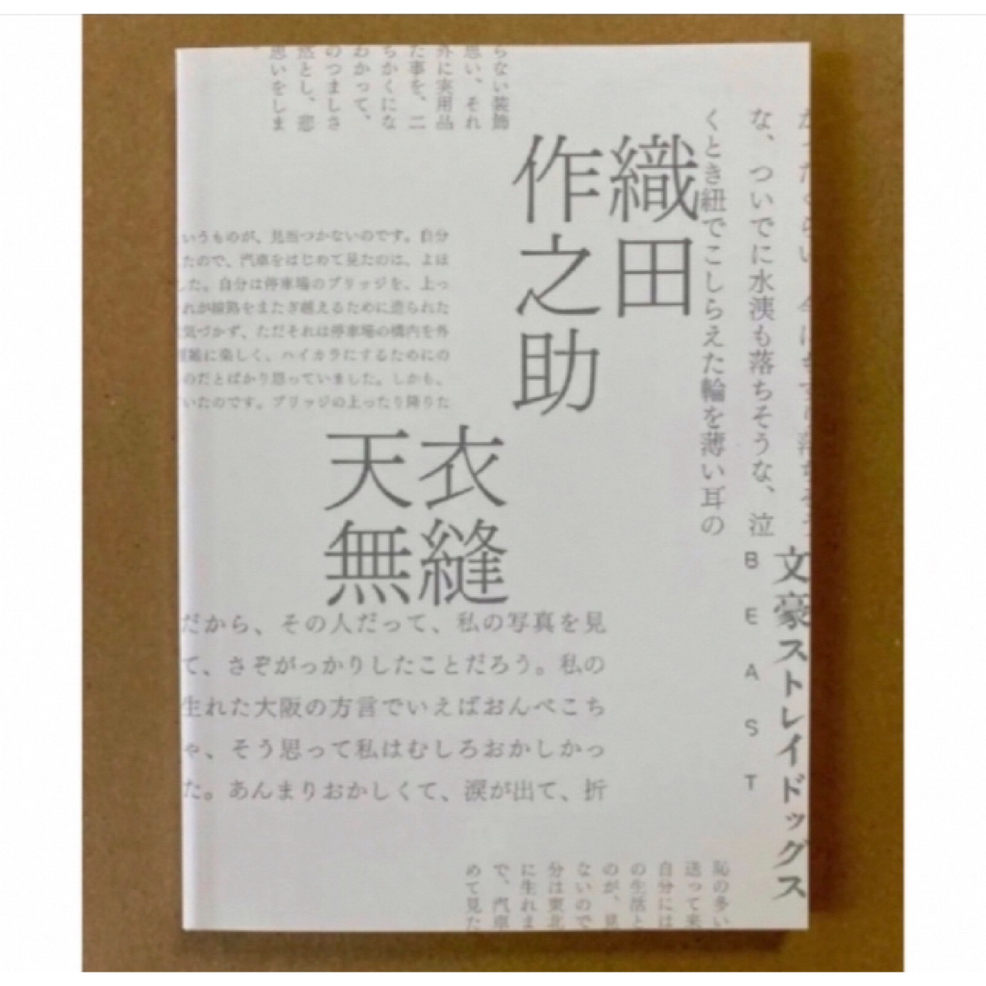 文豪ストレイドックス　太宰を拾った日　小説 エンタメ/ホビーの本(文学/小説)の商品写真