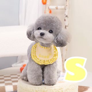 【新品未使用】犬用 スタイ 韓国 イエロー 小型犬(犬)