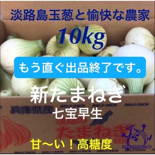 ＜5/15出品終了＞淡路島産 新玉ねぎ 七宝早生 10kg 高糖度 新たまねぎ (野菜)