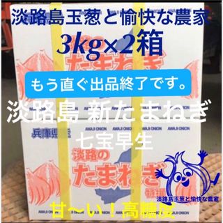 ＜5/15出品終了＞淡路島産 新玉ねぎ 七宝早生 3kg×2箱 高糖度 新玉ねぎ(野菜)