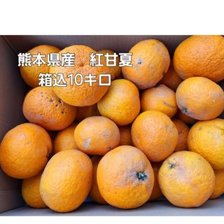 熊本県産　紅甘夏　箱込10キロ(フルーツ)