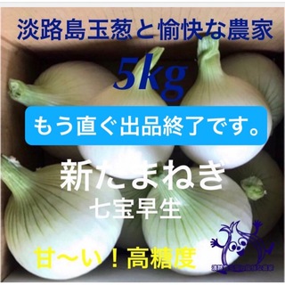 ＜5/15出品終了＞淡路島産 新玉ねぎ 七宝早生 5kg 高糖度 新玉ねぎ (野菜)