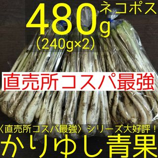 〈直売所コスパ最強〉沖縄県産　Ｗさんの島らっきょう480g以上【ネコポス】③(野菜)