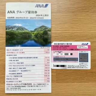 【2025年5月末日期限】ANA 株主優待(航空券)