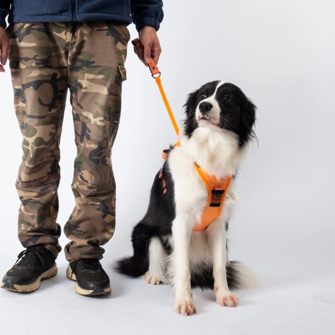 犬用ハーネス 首輪 7-35KG 引っ張り防止 リード付き 中型 大型 散歩 ハンドメイドのペット(リード/首輪)の商品写真