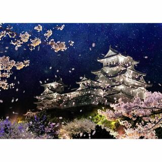 M51 夜桜と姫路城/兵庫/白鷺城/日本の風景/アートパネル(絵画/タペストリー)