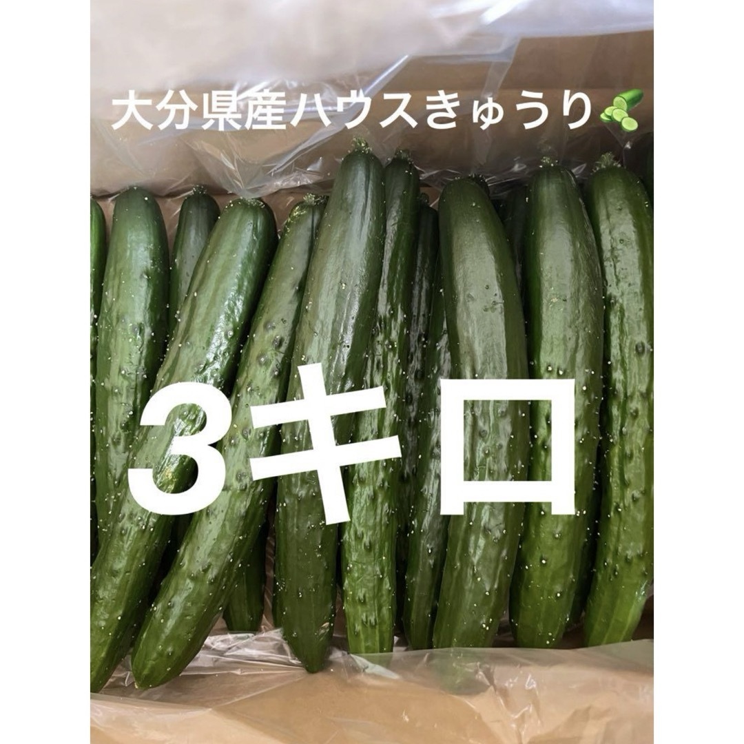新鮮　大分県産ハウスきゅうり　（胡瓜　キュウリ 食品/飲料/酒の食品(野菜)の商品写真