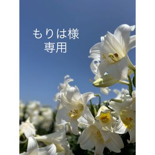 もりは様専用(野菜)