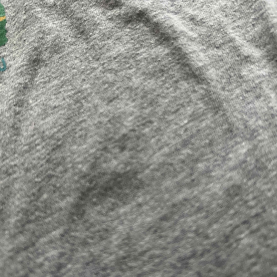 GILDAN(ギルタン)のIZU SHABOTEN ZOO 伊豆シャボテン公園　Tシャツ　130サイズ キッズ/ベビー/マタニティのキッズ服男の子用(90cm~)(Tシャツ/カットソー)の商品写真
