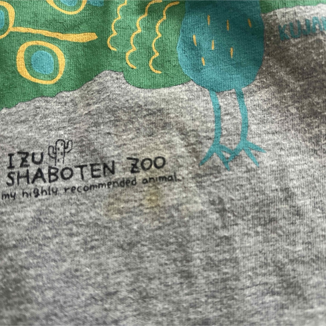 GILDAN(ギルタン)のIZU SHABOTEN ZOO 伊豆シャボテン公園　Tシャツ　130サイズ キッズ/ベビー/マタニティのキッズ服男の子用(90cm~)(Tシャツ/カットソー)の商品写真