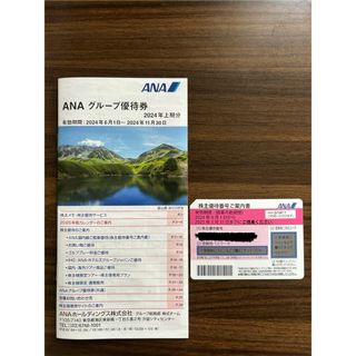 エーエヌエー(ゼンニッポンクウユ)(ANA(全日本空輸))のANA 株主優待券(その他)