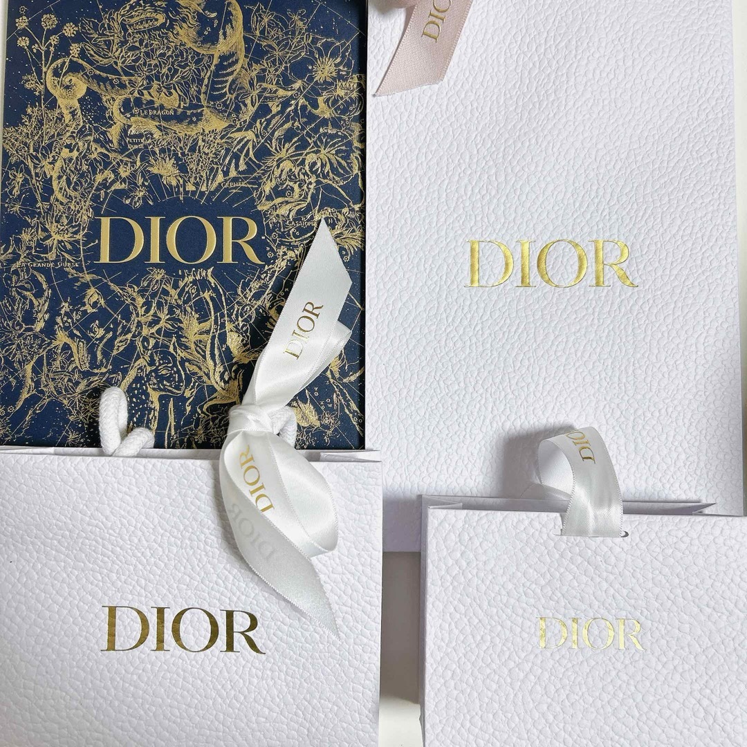 Dior(ディオール)のDIOR ショッパー/新ロゴ/リボン付き レディースのバッグ(ショップ袋)の商品写真