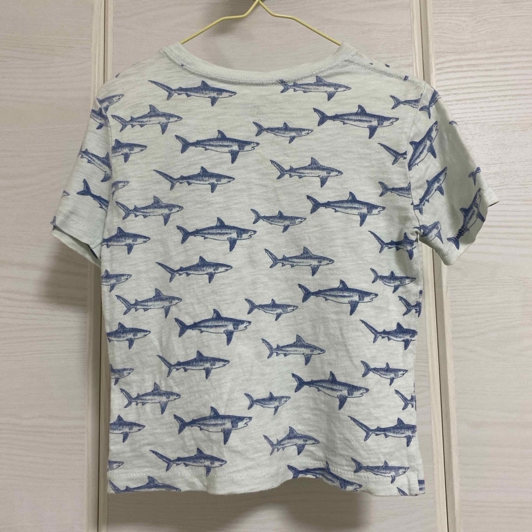 babyGAP(ベビーギャップ)のBaby GAP サメ柄　Tシャツ キッズ/ベビー/マタニティのキッズ服男の子用(90cm~)(Tシャツ/カットソー)の商品写真