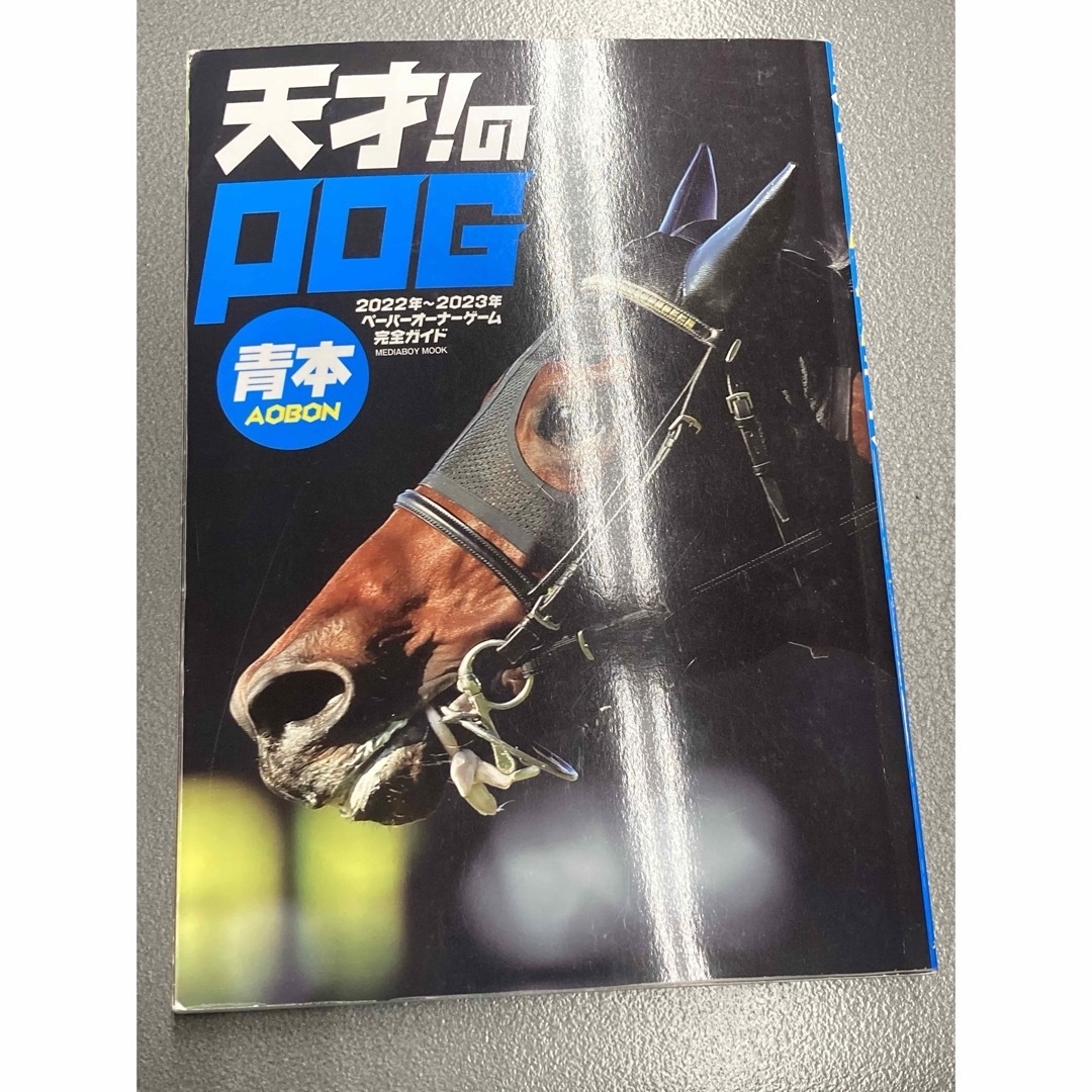 POG青本(2022-2023シーズン) エンタメ/ホビーの本(趣味/スポーツ/実用)の商品写真