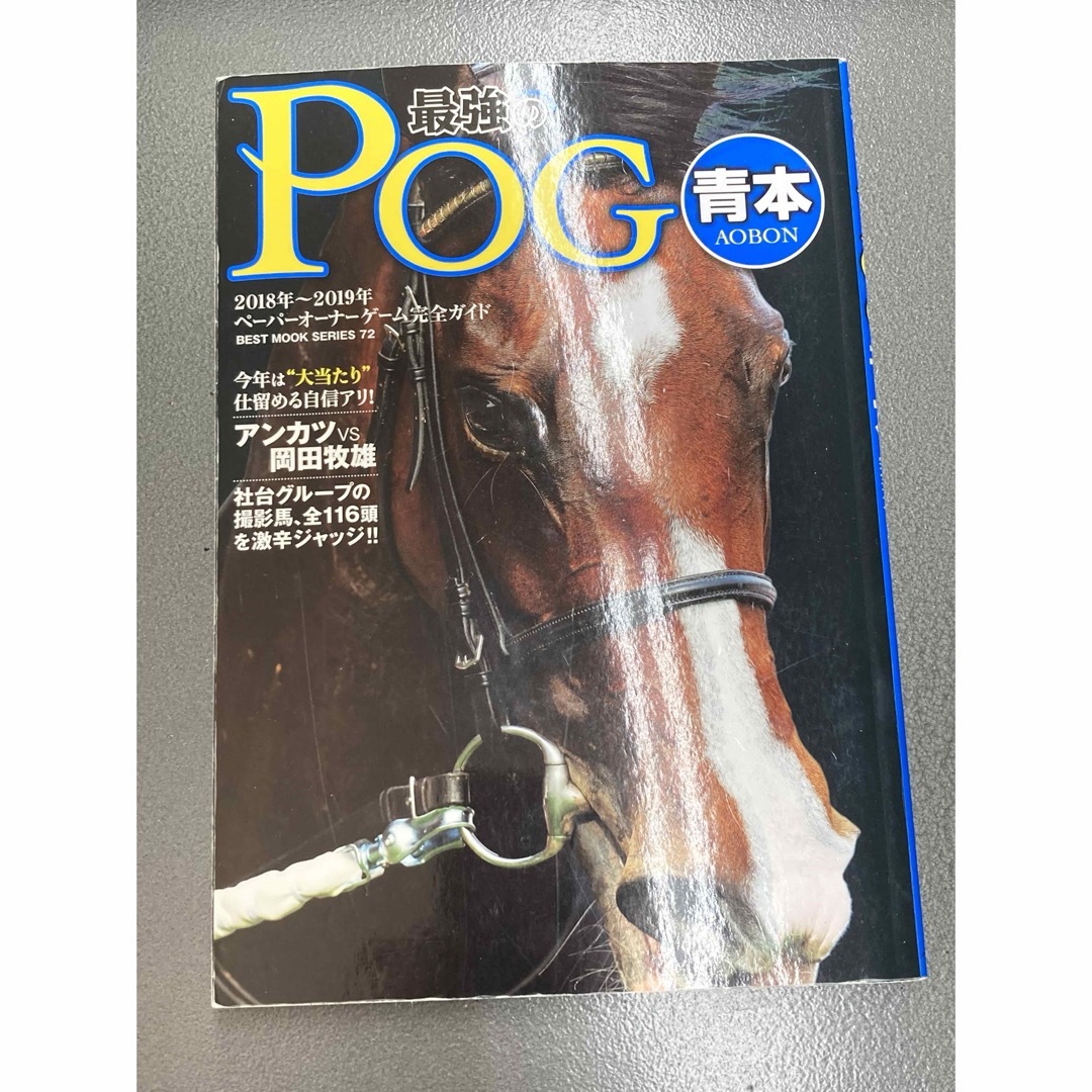 POG青本（2018-2019シーズン） エンタメ/ホビーの本(趣味/スポーツ/実用)の商品写真