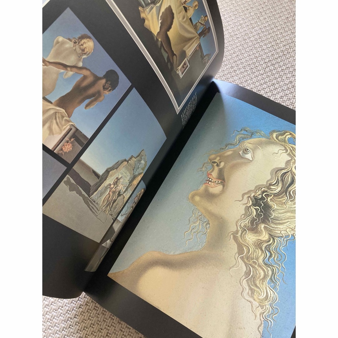 【大型本】ダリ　DALI L'OEUVRE ET L'HOMME エンタメ/ホビーの本(洋書)の商品写真