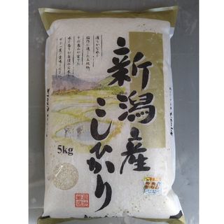 農家直送  新潟県産コシヒカリ白米5㎏(令和5年産)(米/穀物)