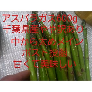 千葉県産　アスパラガス600g　中から太めメイン　M L 2L　やや訳あり(野菜)