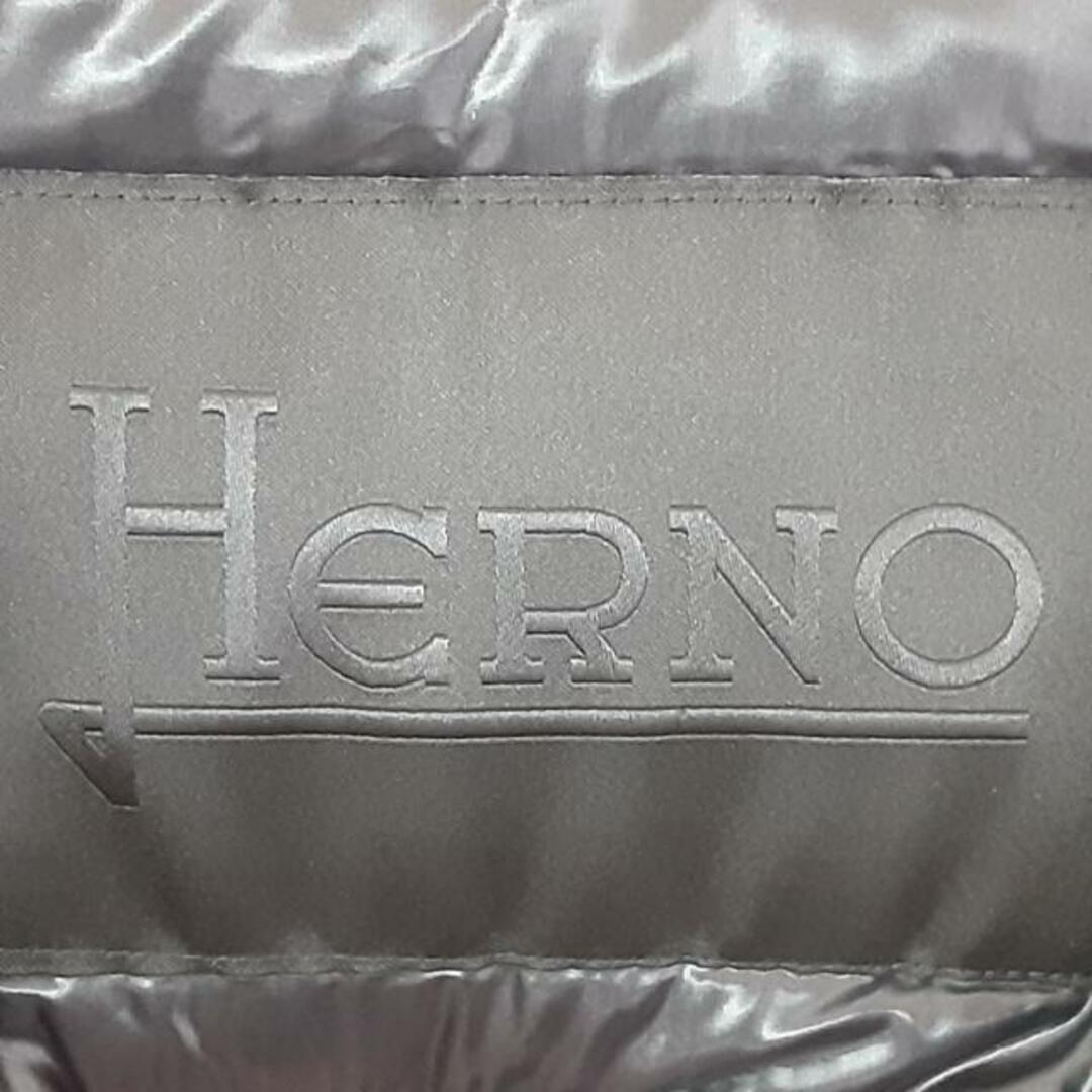 HERNO(ヘルノ)のHERNO(ヘルノ) ダウンコート サイズ42 M レディース美品  - 黒 長袖/冬 レディースのジャケット/アウター(ダウンコート)の商品写真