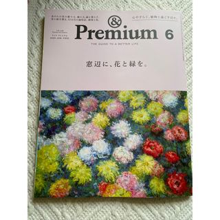 マガジンハウス(マガジンハウス)の&Premium (アンド プレミアム) 2024年 06月号 [雑誌](その他)