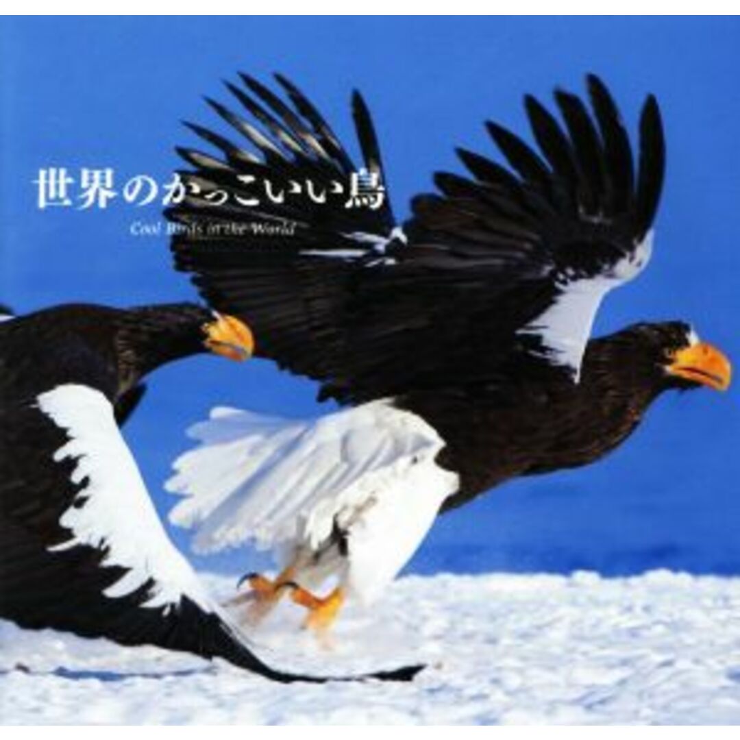 写真集　世界のかっこいい鳥／上田恵介,笠原里恵 エンタメ/ホビーの本(その他)の商品写真