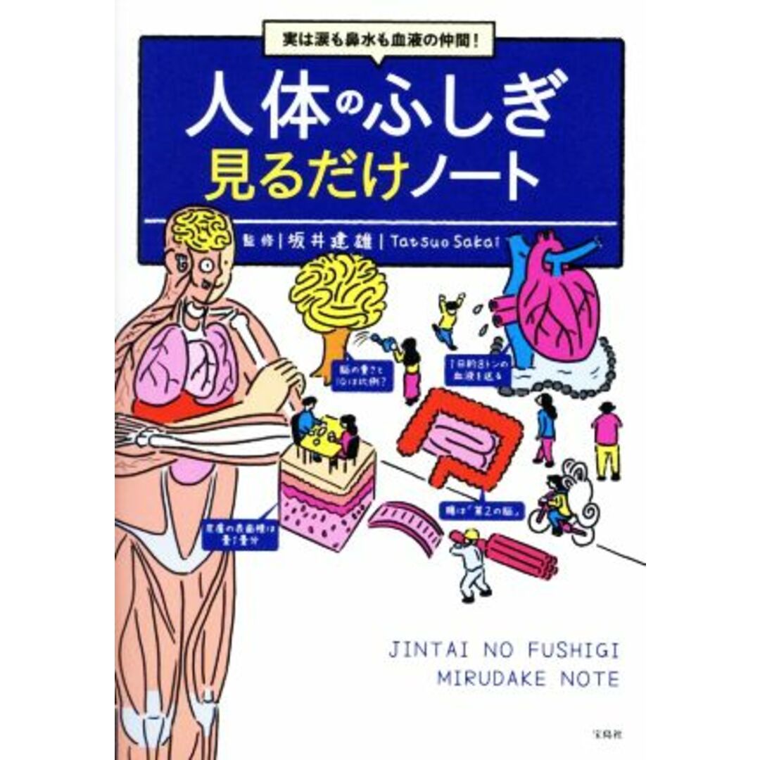 実は涙も鼻水も血液の仲間！人体のふしぎ見るだけノート／坂井建雄(監修) エンタメ/ホビーの本(科学/技術)の商品写真